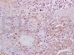 ÃÀ¸ß÷¡¤MGM(ÖйúÓÎ)¹ÙÍøÕýÍø