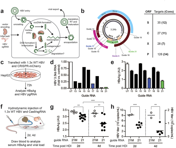 ����÷��MGM(�й���)��������