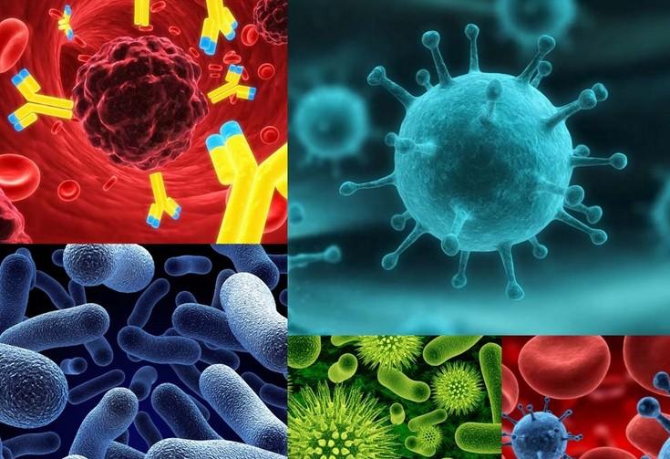 ÔλÔÓ½»¼¼Êõ