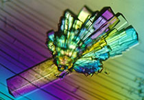 ����÷��MGM(�й���)��������