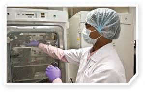 ����÷��MGM(�й���)��������