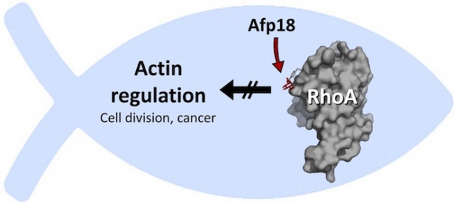 ����÷��MGM(�й���)��������