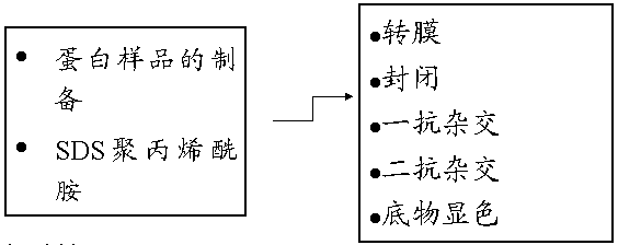 ����÷��MGM(�й���)��������