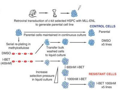 ����÷��MGM(�й���)��������