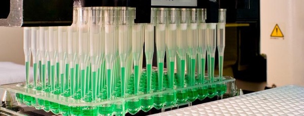 ��Ѫ��ϵͳҩ�����ɸѡ