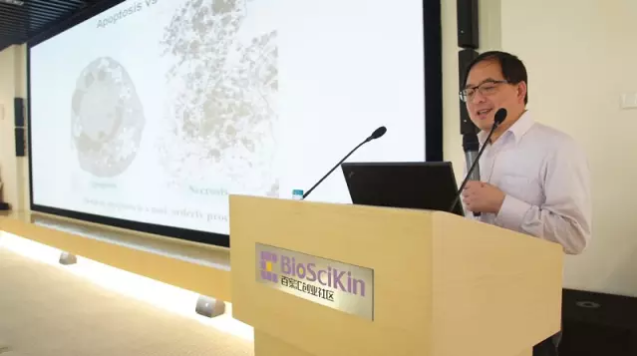 ���Ӵ�����