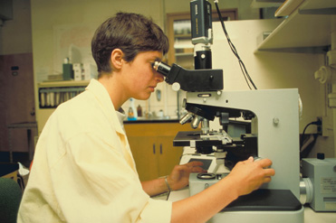 ���Զ������鳣������Ҫ��