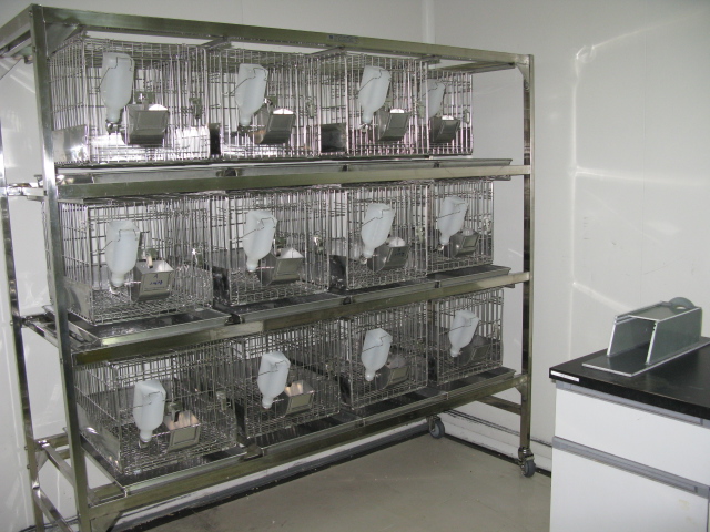 �������ο���