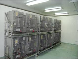 ����÷�﷿