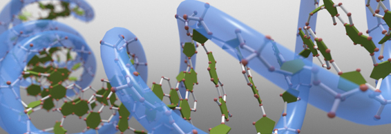 ²¸È鶯Îïϸ°ûÂѰױí´ïЧÀÍ ²¸È鶯Îïϸ°ûÂѰױí´ïЧÀÍ