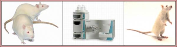 ��������ѧ����