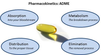 ��������ѧ�����ա����ܡ���л����͸