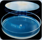 Í¬Î»ËØÐ§ÀÍ Í¬Î»ËØÐ§ÀÍ