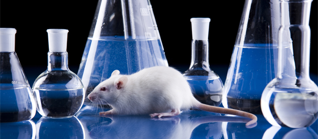 ����÷��MGM(�й���)��������