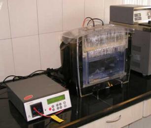 ����÷��MGM(�й���)��������