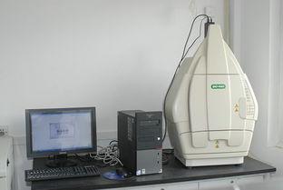 ����÷��MGM(�й���)��������