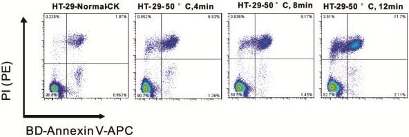 ϸ���������