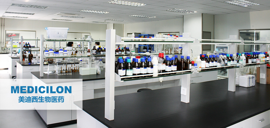 GMP���Գ���