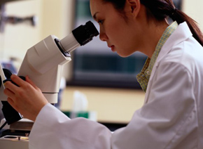 ����÷��MGM(�й���)��������