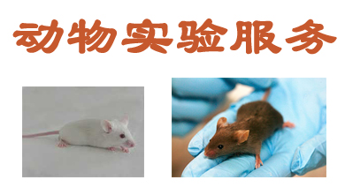 ����ʵ��Ч��