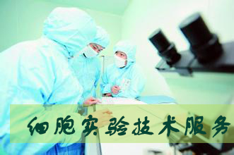 ����÷��MGM(�й���)��������