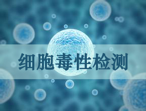 ϸ�����Լ��