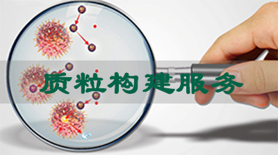 ��������Ч��