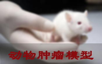 С������ģ��