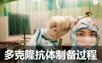 ���¡�����Ʊ�����