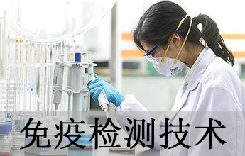 ���߼�⼼��