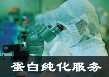 �Ѱ״���Ч��