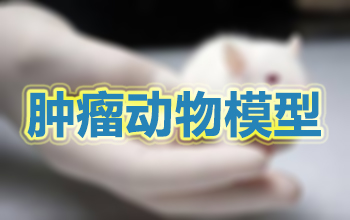 ��������ģ��