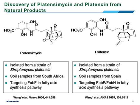 ����÷��MGM(�й���)��������