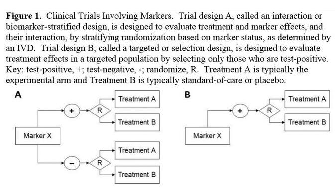 ����÷��MGM(�й���)��������
