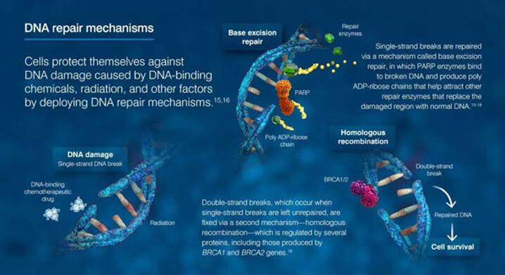 ����÷��MGM(�й���)��������