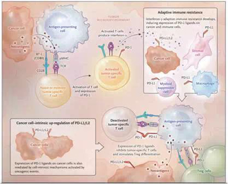����÷��MGM(�й���)��������