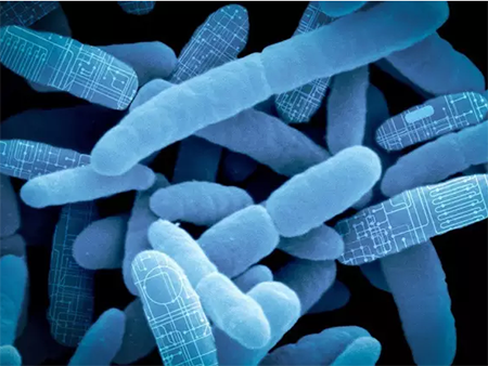 ÃÀ¸ß÷¡¤MGM(ÖйúÓÎ)¹ÙÍøÕýÍø