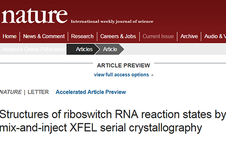 ����÷��MGM(�й���)��������