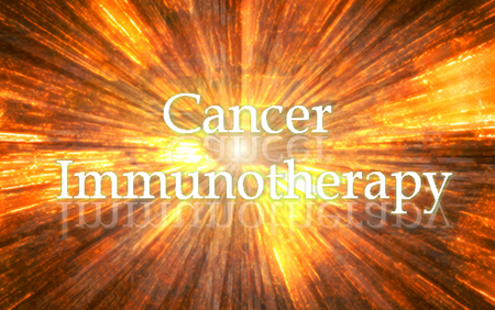 ����÷��MGM(�й���)��������