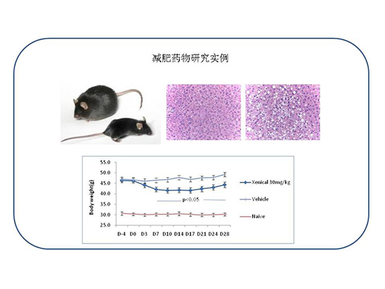 ÃÀ¸ß÷¡¤MGM(ÖйúÓÎ)¹ÙÍøÕýÍø