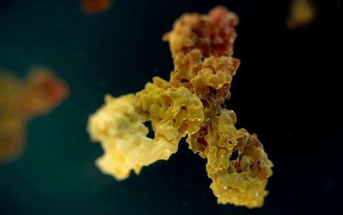 ����÷��MGM(�й���)��������