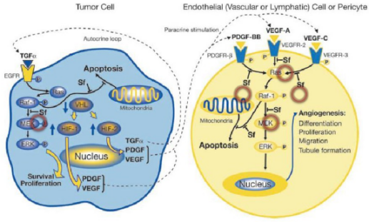 ����÷��MGM(�й���)��������