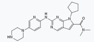 ����÷��MGM(�й���)��������