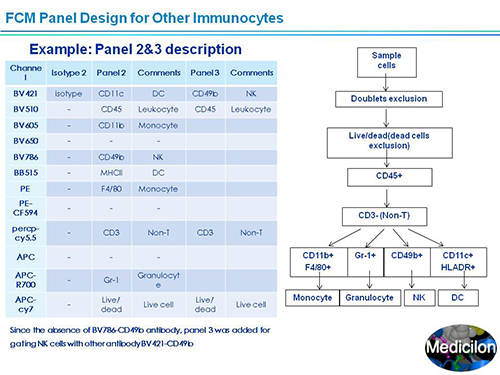 ����÷���ܲ�������ʿSAPA-DC�ۻ��ݽ�PPT
