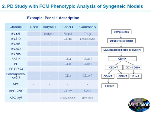 ����÷���ܲ�������ʿSAPA-DC�ۻ��ݽ�PPT