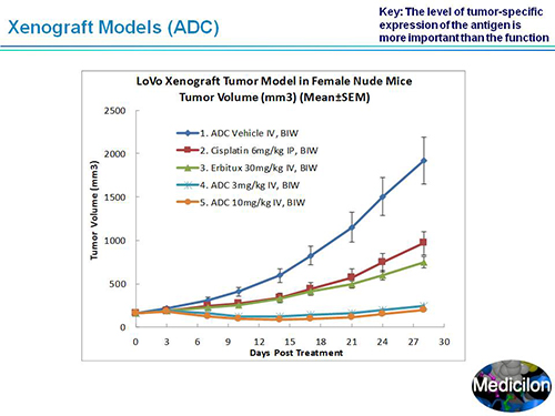 ����÷��MGM(�й���)��������