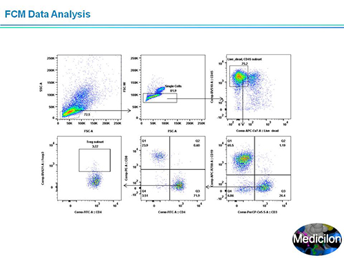 ����÷���ܲ�������ʿSAPA-DC�ۻ��ݽ�PPT