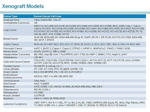 ����÷���ܲ�������ʿSAPA-DC�ۻ��ݽ�PPT