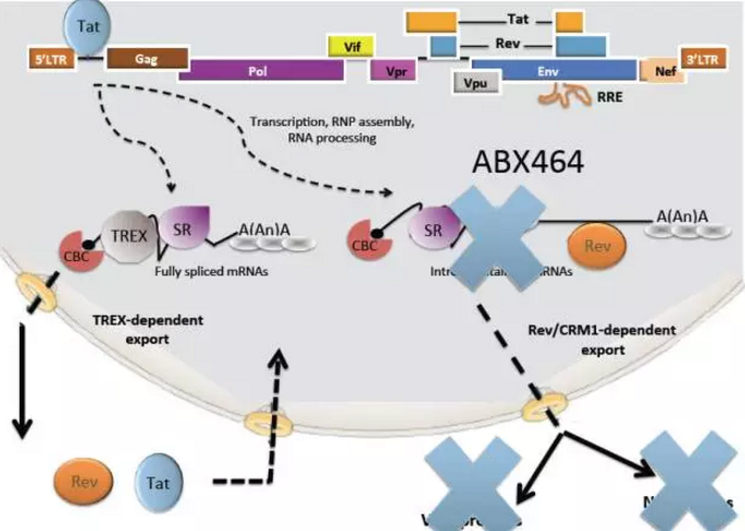 ����÷��MGM(�й���)��������