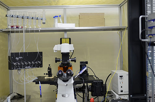 Patch Clamp��ĤƬǯ��